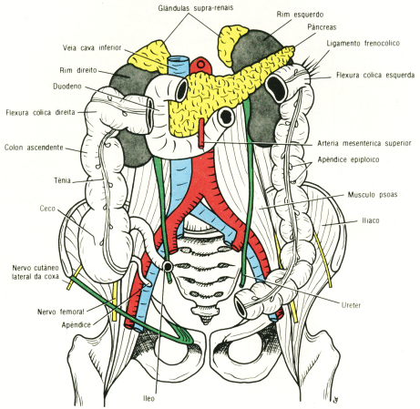 fig05-24.gif