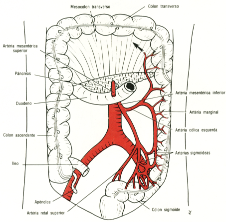 fig05-25.gif