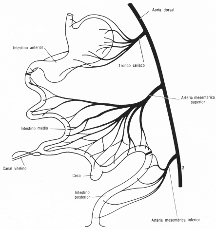 fig05-26.gif