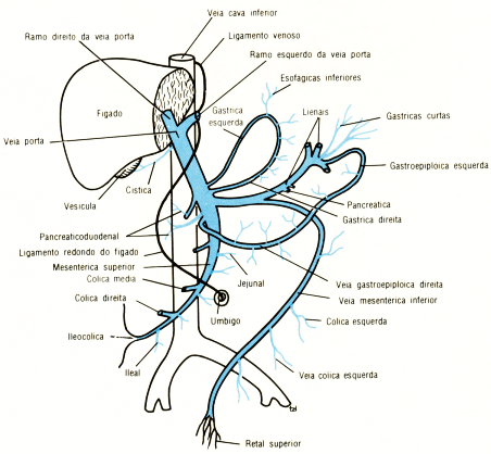 fig05-28.gif