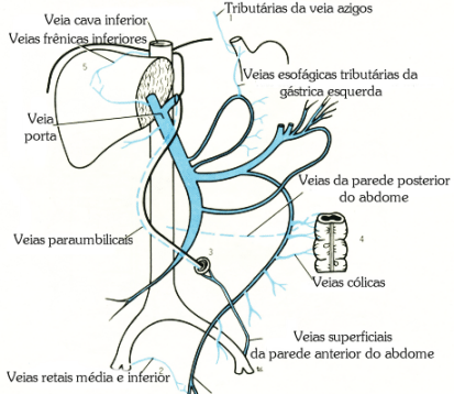fig05-29.gif