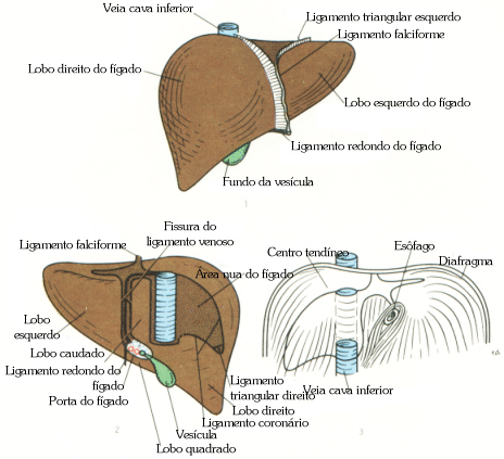 fig05-32.gif