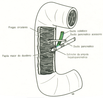 fig05-36.gif