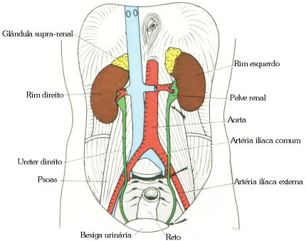 fig05-40.gif