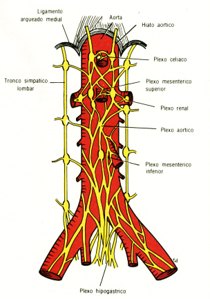 fig05-48.gif