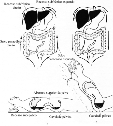 fig05-60.gif