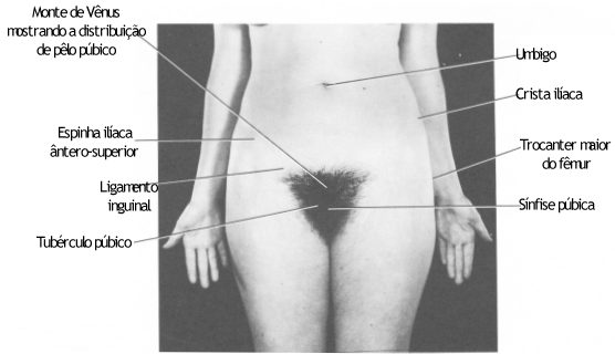 fig06-02.gif