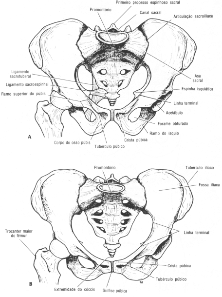 fig06-05.gif