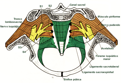 fig06-11.gif