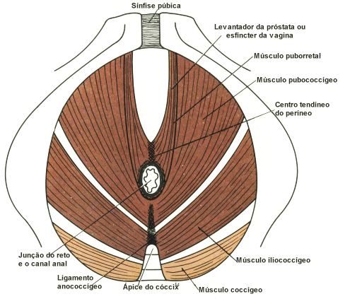 fig06-15.gif