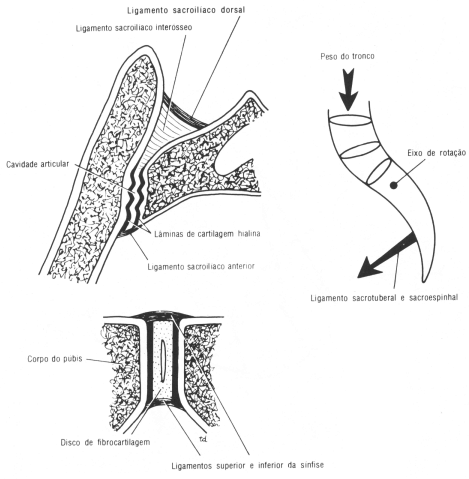 fig06-19.gif