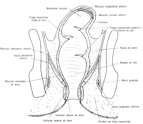 fig07-02.gif
