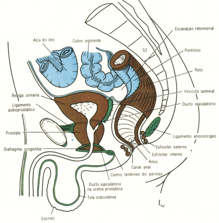 fig07-03.gif