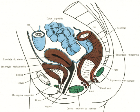 fig07-09.gif
