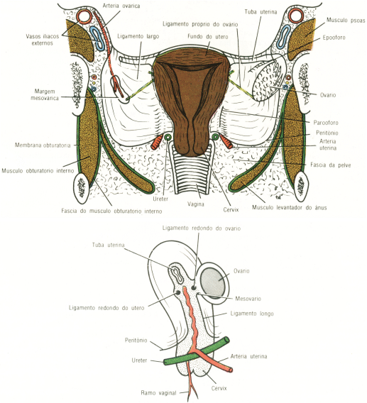 fig07-11.gif