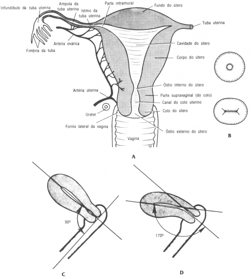 fig07-12.gif