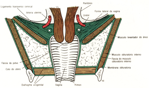 fig07-13.gif