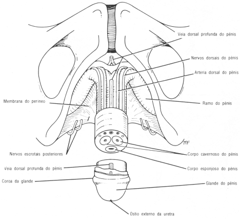 fig08-03.gif