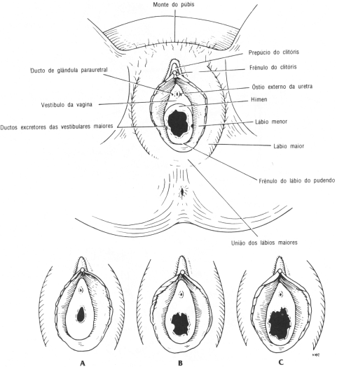 fig08-04.gif