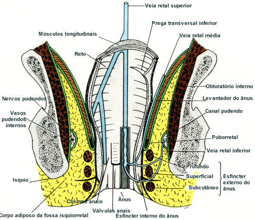 fig08-06.gif