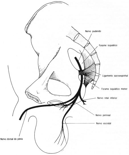 fig08-08.gif