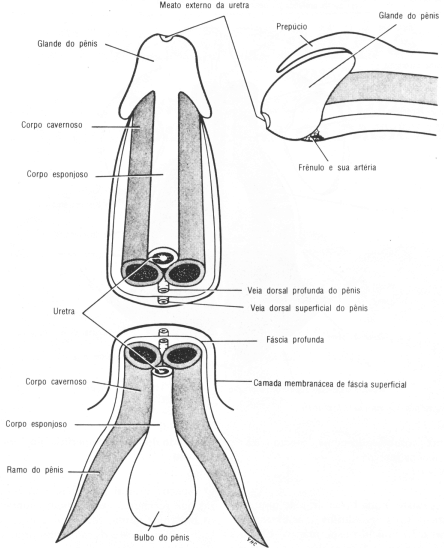 fig08-12.gif