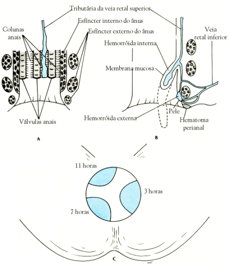 fig08-15.gif