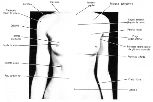 fig09-01.gif