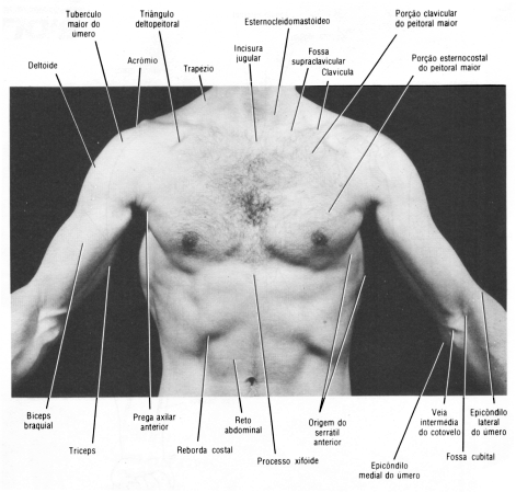 fig09-02.gif