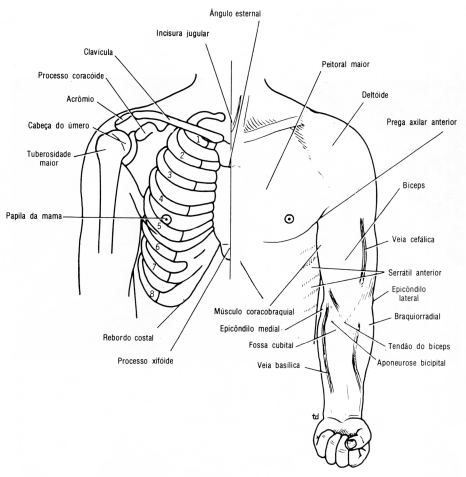 fig09-03.gif