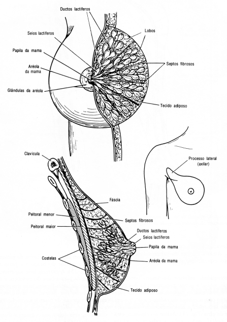fig09-09.gif