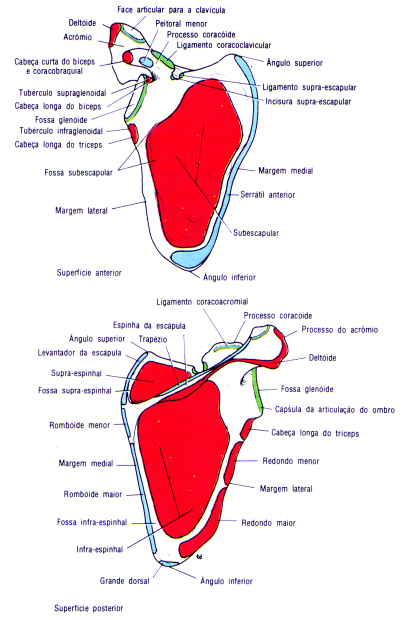fig09-13.gif