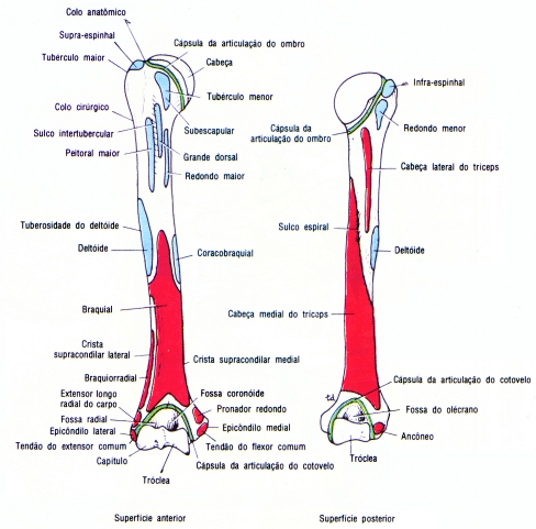 fig09-14.gif