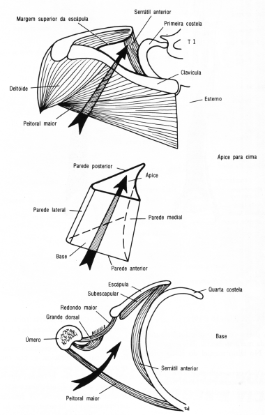 fig09-15.gif