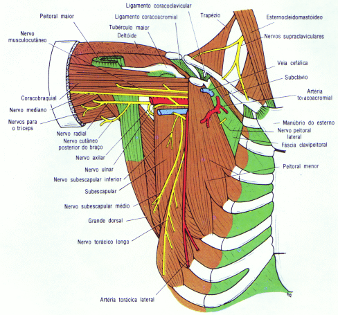fig09-17.gif