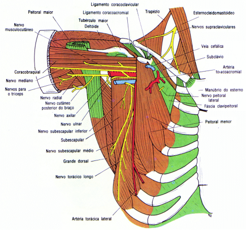 fig09-18.gif