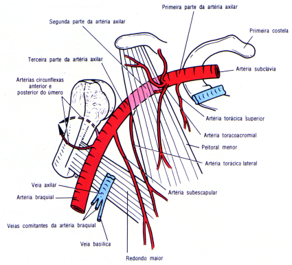 fig09-20.gif