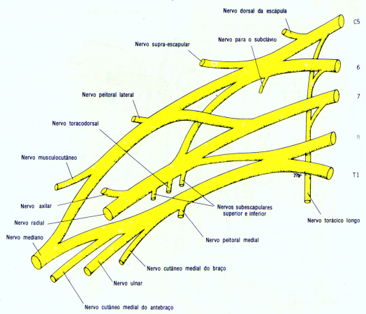 fig09-21.gif