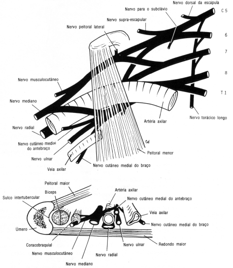 fig09-22.gif