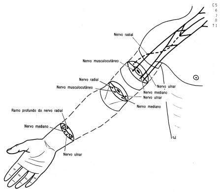 fig09-23.gif