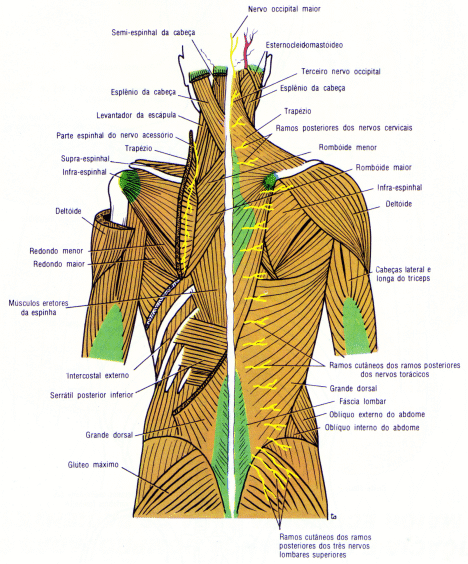 fig09-26.gif