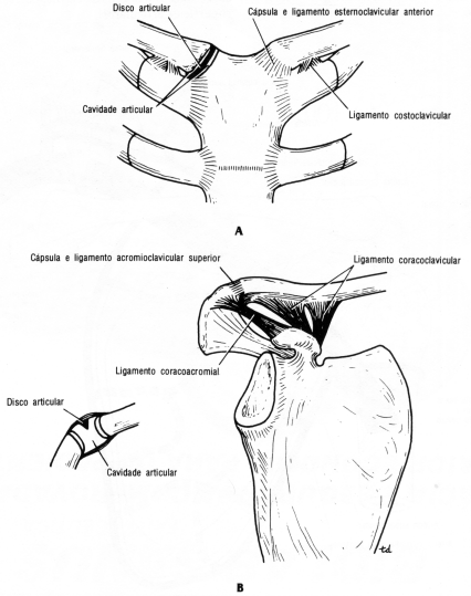 fig09-29.gif