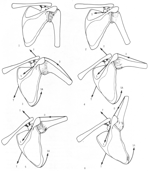 fig09-32.gif