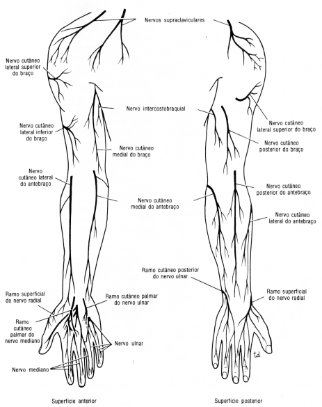 fig09-33.gif