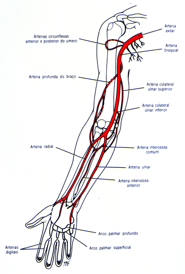 fig09-36.gif