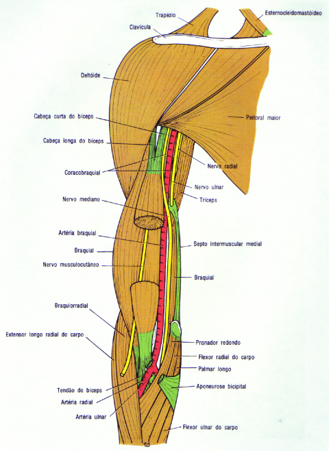 fig09-37.gif