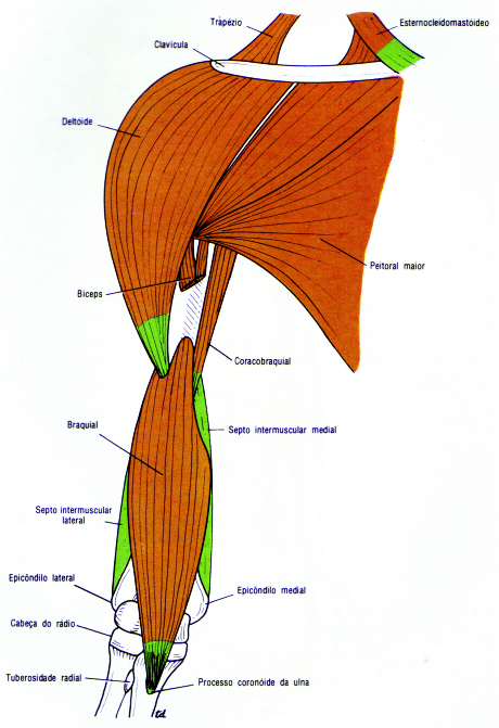 fig09-38.gif