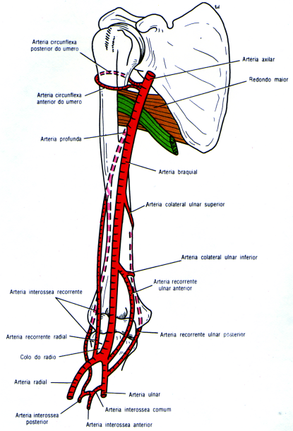 fig09-39.gif