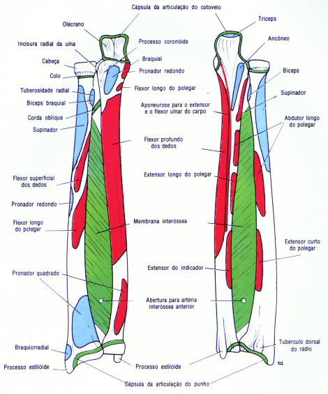 fig09-42.gif