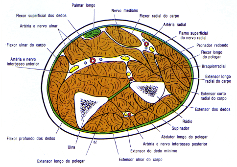 fig09-45.gif
